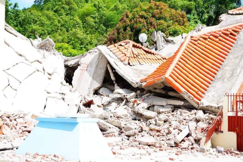 ÉDITO: L'environnement en Haïti : un cri d'alarme négligé 6 ÉDITO: L'environnement en Haïti : un cri d'alarme négligé