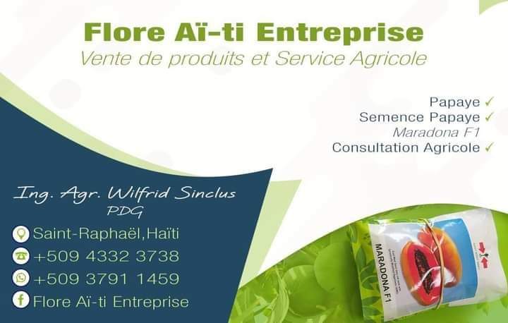 Flore Aï-Ti Entreprise vise l’élargissement de la production de la papaye en Haïti